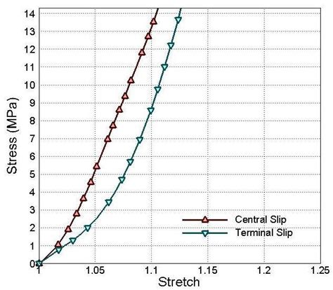 Image result for Stretch Exponential Function