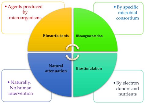A Review on Biotechnological Approaches Applied for Marine Hydrocarbon ...