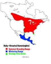 Image result for Hummingbird Distribution Map