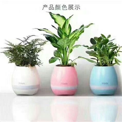Image result for Flower Pot with Humidity Sensor