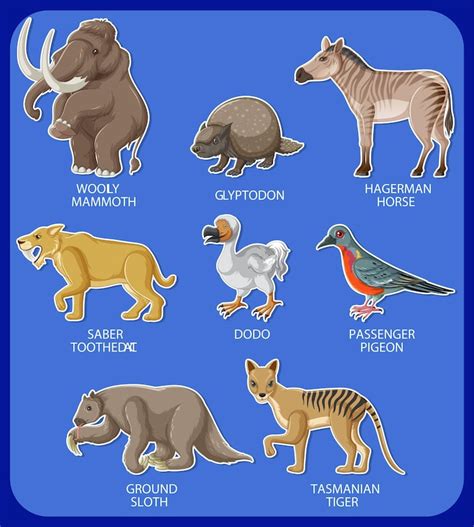 Mammalpet Vectors - Download Free High-Quality Vectors from Freepik ...