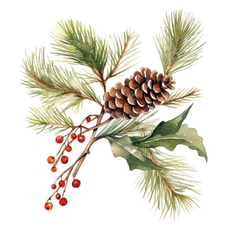 Christmas Fir Tree Branch Decorations Watercolor Styleholly Berry Pine ...