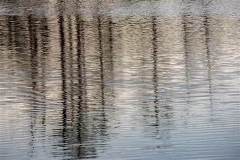 Simple Nature 的图像结果