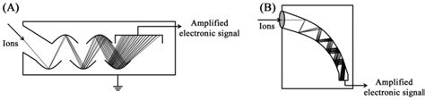 Figure 12.8 A diagrammatic representation of current amplification in ...