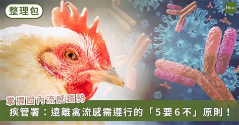 整理包／禽流感會傳染人嗎？和新型 A 型流感有什麼不同？傳染途徑、如何預防一次看懂 - Heho健康