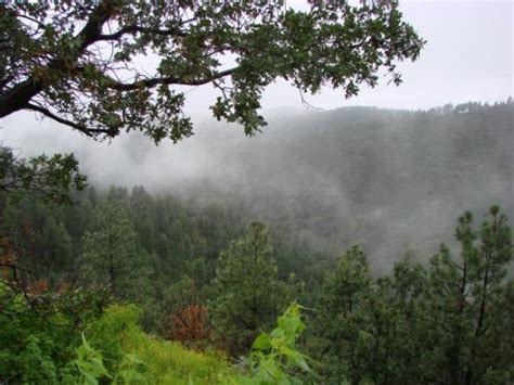 Alpine Tourism (2024): All You Need to Know Before You Go