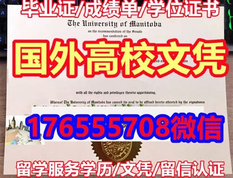 价格咨询学位证书怎么查毕业典礼学历认证流程 | PPT