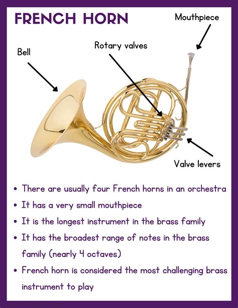 Image result for Types of Instrument Groups