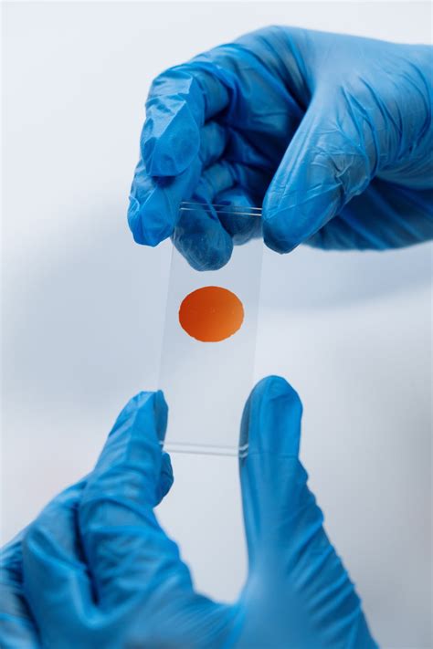 Image result for What Is DNA Analysis