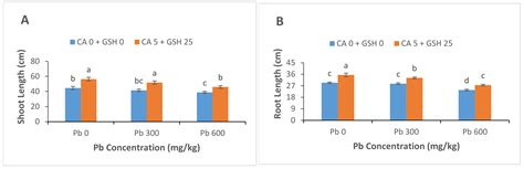 Combined Citric Acid and Glutathione Augments Lead (Pb) Stress ...