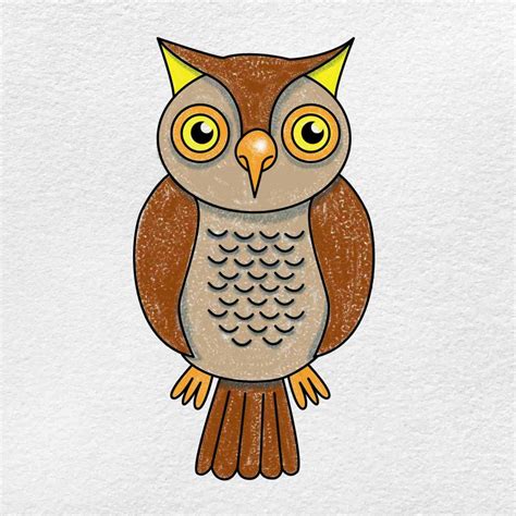 How To Draw An Easy Owl For Beginners