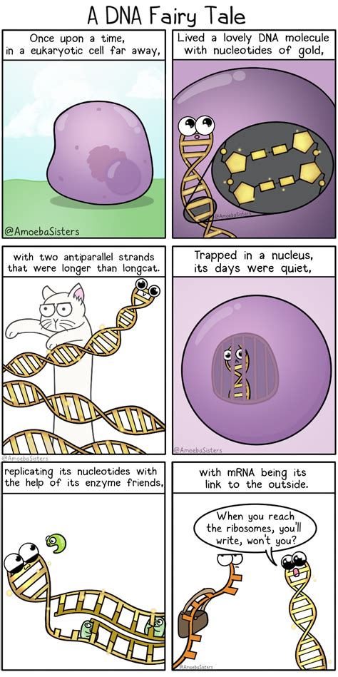 Bioinformatics Cartoon 的图像结果