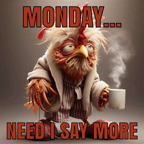 Hilarious Monday Pictures