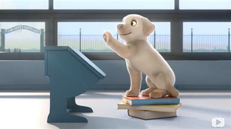 一只狗因为身材矮小，做不了导盲犬，好励志，高分动画《导盲犬》-动漫-完整版免费在线观看-爱奇艺