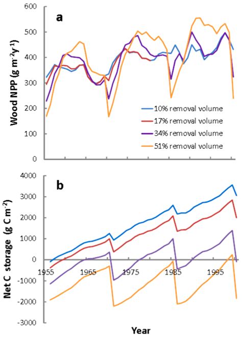 Forests | Special Issue : The Role of Forests for Carbon Capture and ...