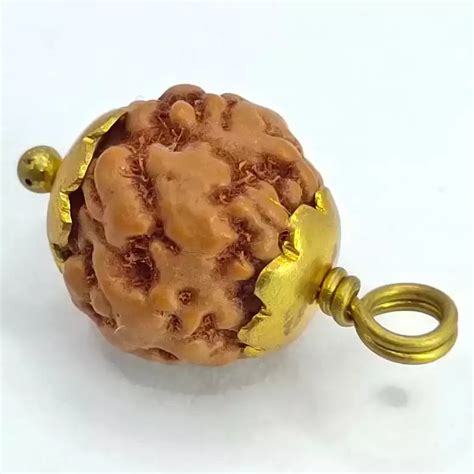 Nirakar Rudraksha - Indonesia