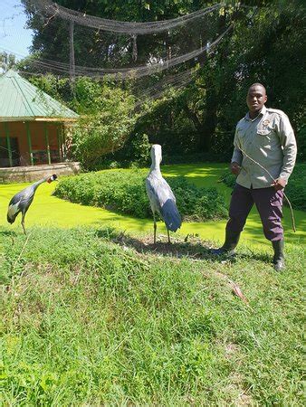 Uganda Wildlife Conservation Education Centre (Entebbe) - 2019 What to ...
