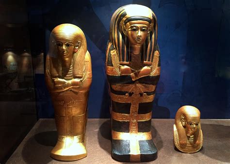 Close-up of the hand of "Old Croghan Man", a well-preserved Iron Age ...