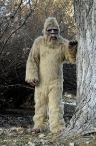 Image result for Bigfoot Found Alive