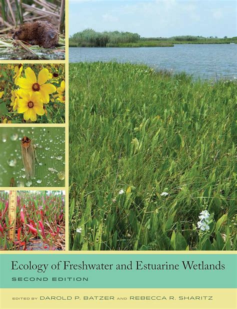 Ecology of Freshwater and Estuarine Wetlands eBook : Batzer, Darold P ...