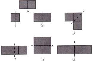 Image result for Symmetry Reflection and Pattern Chapter of Class 4