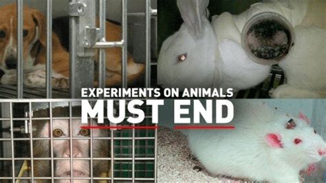 Why animal testing is our problem too - India Today