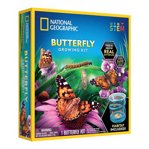 National Geographic Butterfly Growing Kit for Child 4 Years and up ...