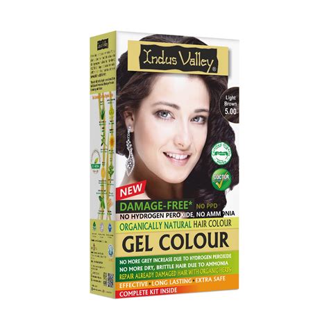 INDUS VALLEY Damage Free Natural Gel Hair Colour for Women | Ammonia ...