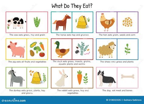 What Do They Eat Educational Poster For Kids. Animals And Food They Eat ...