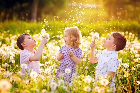 Image result for Spring Time Video for Kids