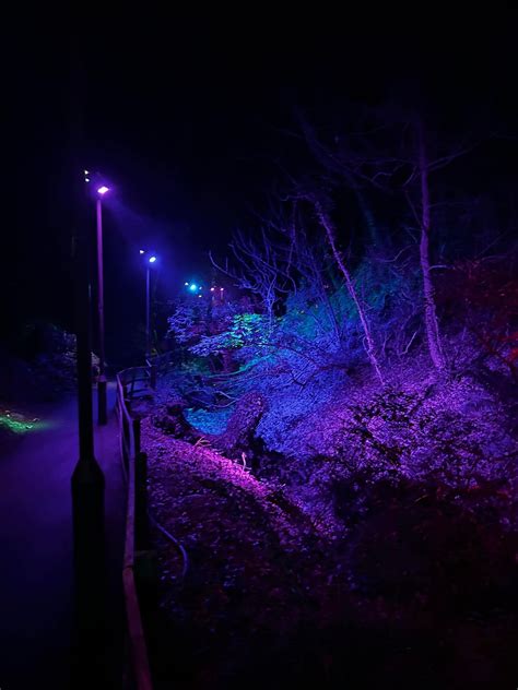 Opening of ELORIA beauty studio , Isle of Man, Douglas, 14 October 2025 ...