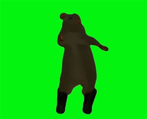 Image result for Rat Dancing Meme Tutorial
