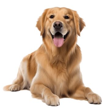 Image result for Difference Between And/Or in Python