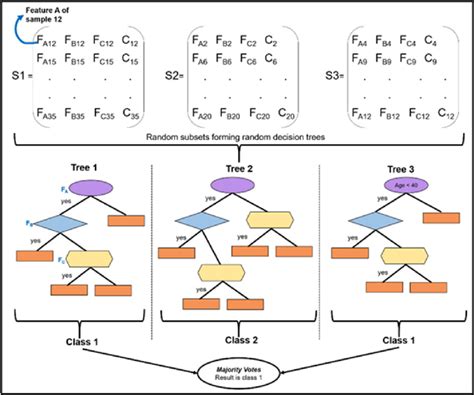 Image result for Random Forest Algorithm Steps