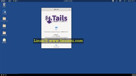 Tails Linux 的图像结果