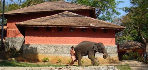 Konni Pathanamthitta Konni Elephant Cage - About Konni in Kerala