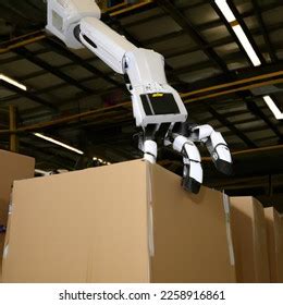 Box Robot Swiper 的图像结果