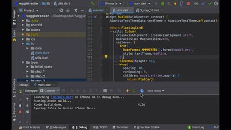 How to Debug in Flutter 的图像结果