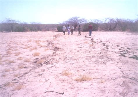 Gujarat Earthquake of January 26, 2001