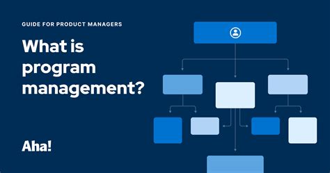 Image result for Programme Management Methods