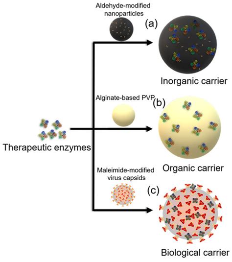 Recent Strategies for the Immobilization of Therapeutic Enzymes