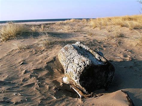 VECĀĶU PLUDMALE (2025) All You Need to Know BEFORE You Go (with Photos ...