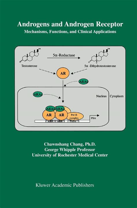 Buy Androgens and Androgen Receptor: Mechanisms, Functions, and Clini ...