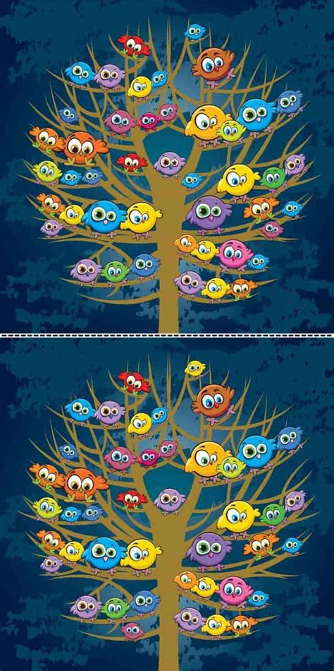 Spot The Difference: Can you spot 3 differences between the two images ...