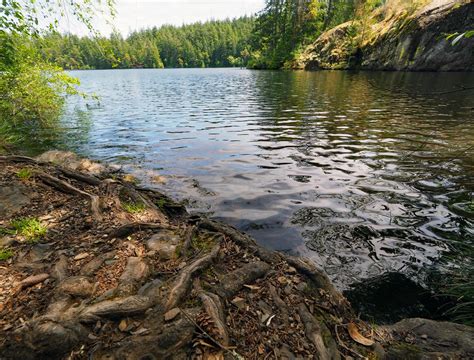 Anacortes Community Forest Lands - Whistle Lake, Anacortes Community ...