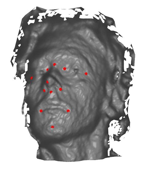 Image result for Face Mesh Map