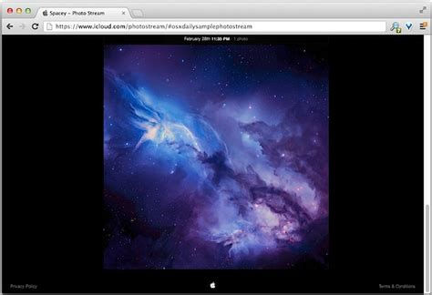 Image result for Stream Website