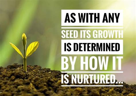 Image result for Humankind Seeds