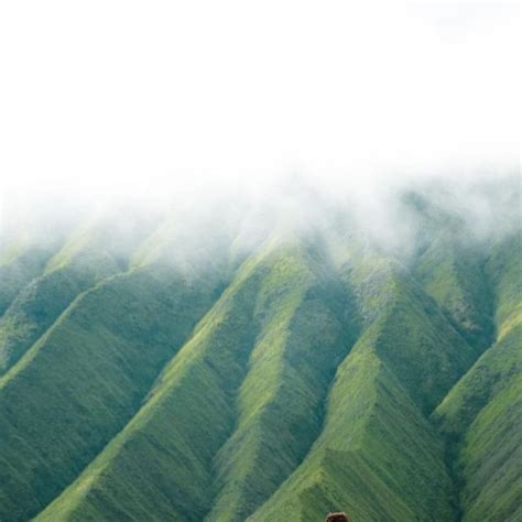 Wonderful Java Indonesia 的图像结果