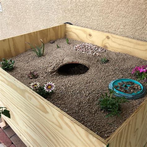 Image result for Turtle Habitat Setup